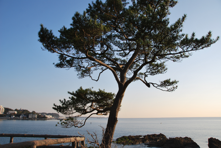Akiya–Tateishi Coast - Sunset View