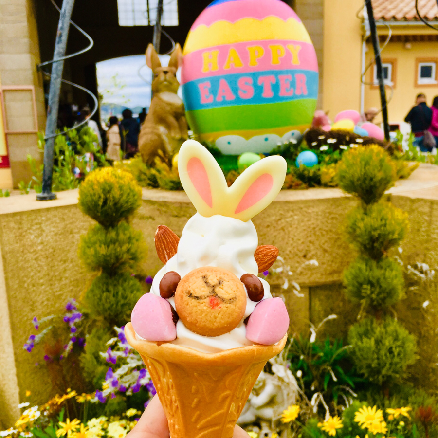 Animal Encounter at Arasaki / Nagai Area