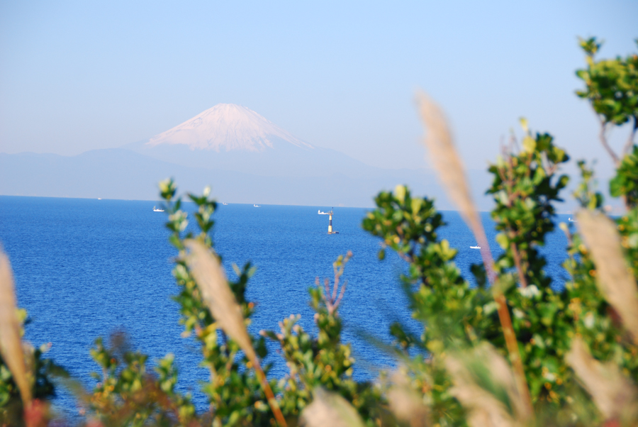 Arasaki Coast - Mt. Fuji