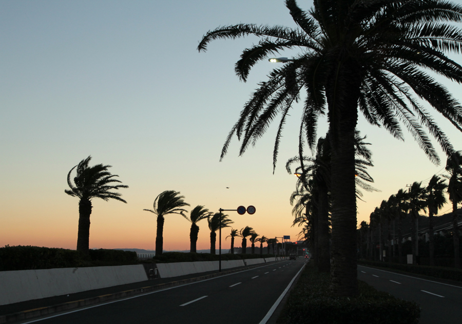 Asayake No Fenikkusu Street