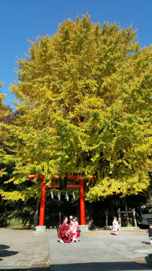 Beach in Oppama / Taura Area