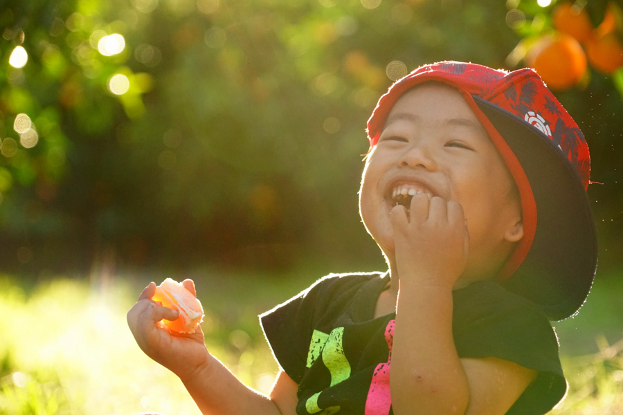 Beach in Tsukuihama Tourist Farm
