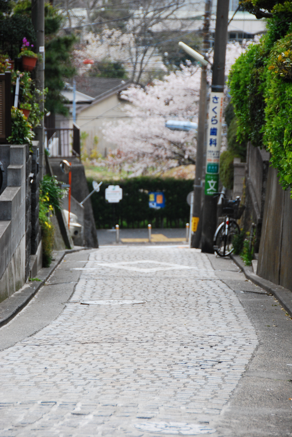 Chikoku Saka - Slope Path