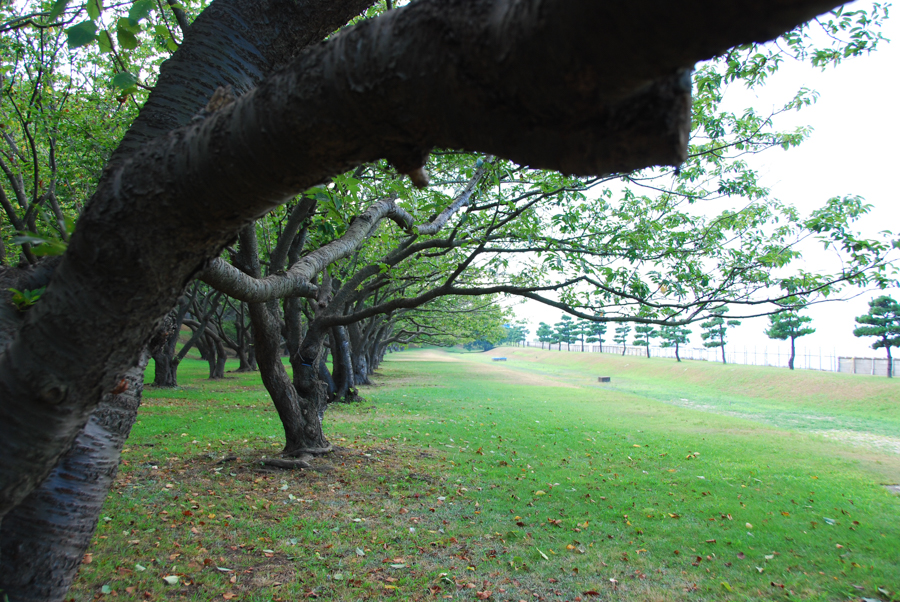Hashirimizu Waterworks