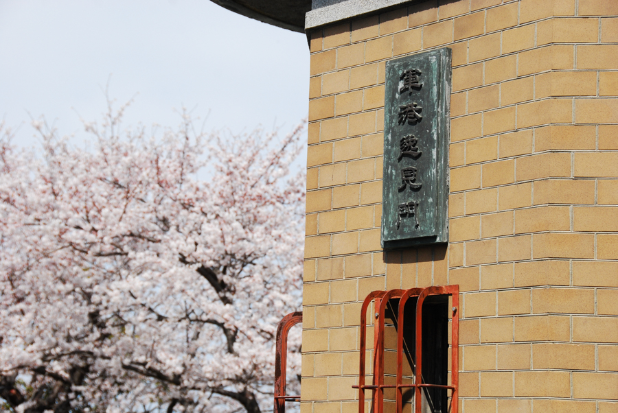 Hemi Wharf Gate - Cherry Blossoms