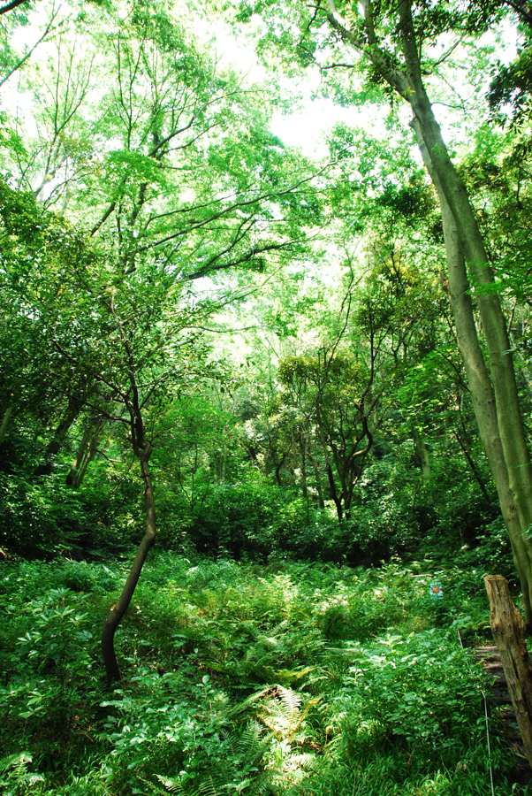 Hikari-no-Oka Waterside Park