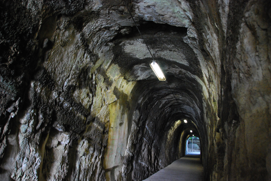 Kannonzaki Park - Tunnel