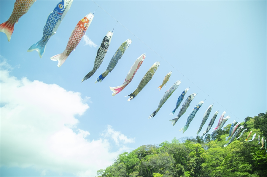 Kurihama Flower World - Carp Streamers