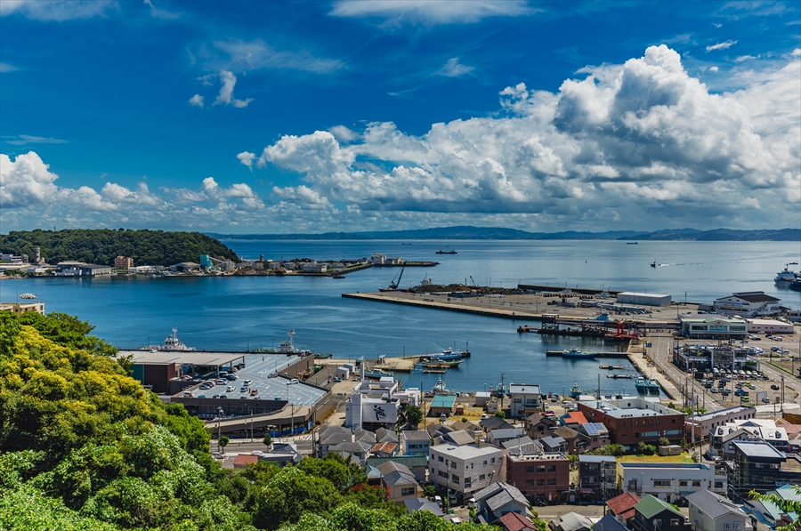 Kurihama Flower World - Kurihama Port