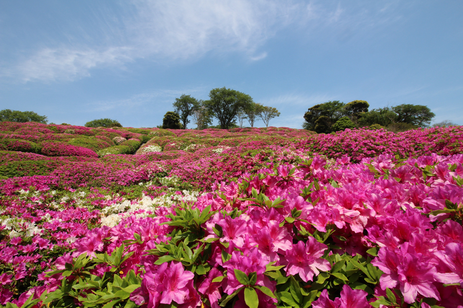 Moonlit View at Mt. Okusu