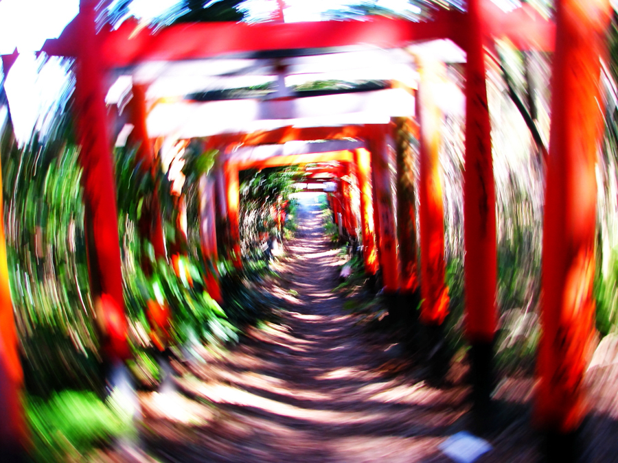 Moonlit View at Taura