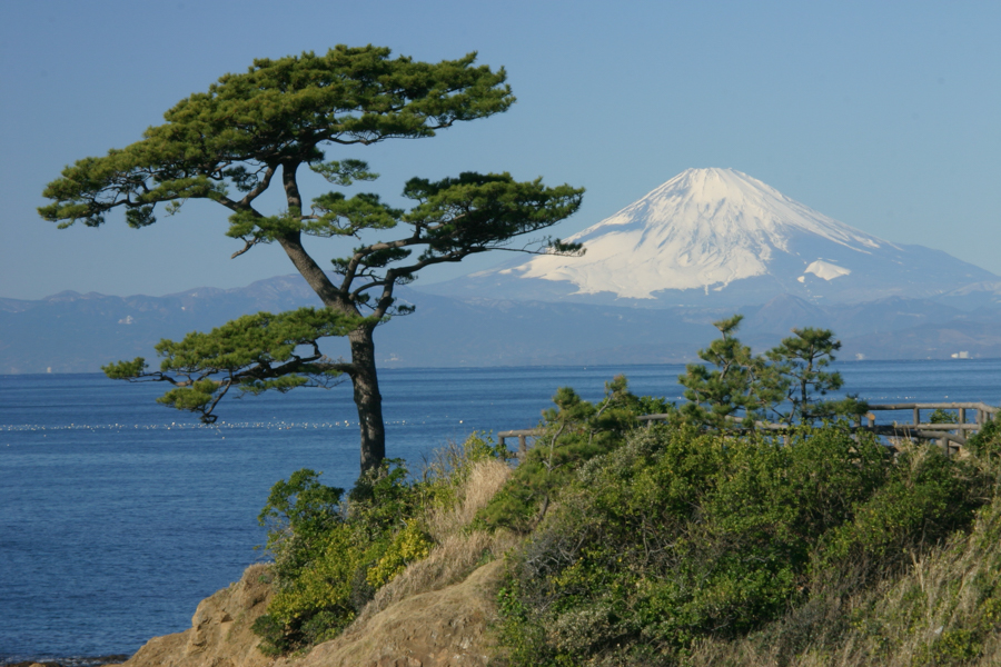 Mt. Fuji View at Akiya–Tateishi Coast