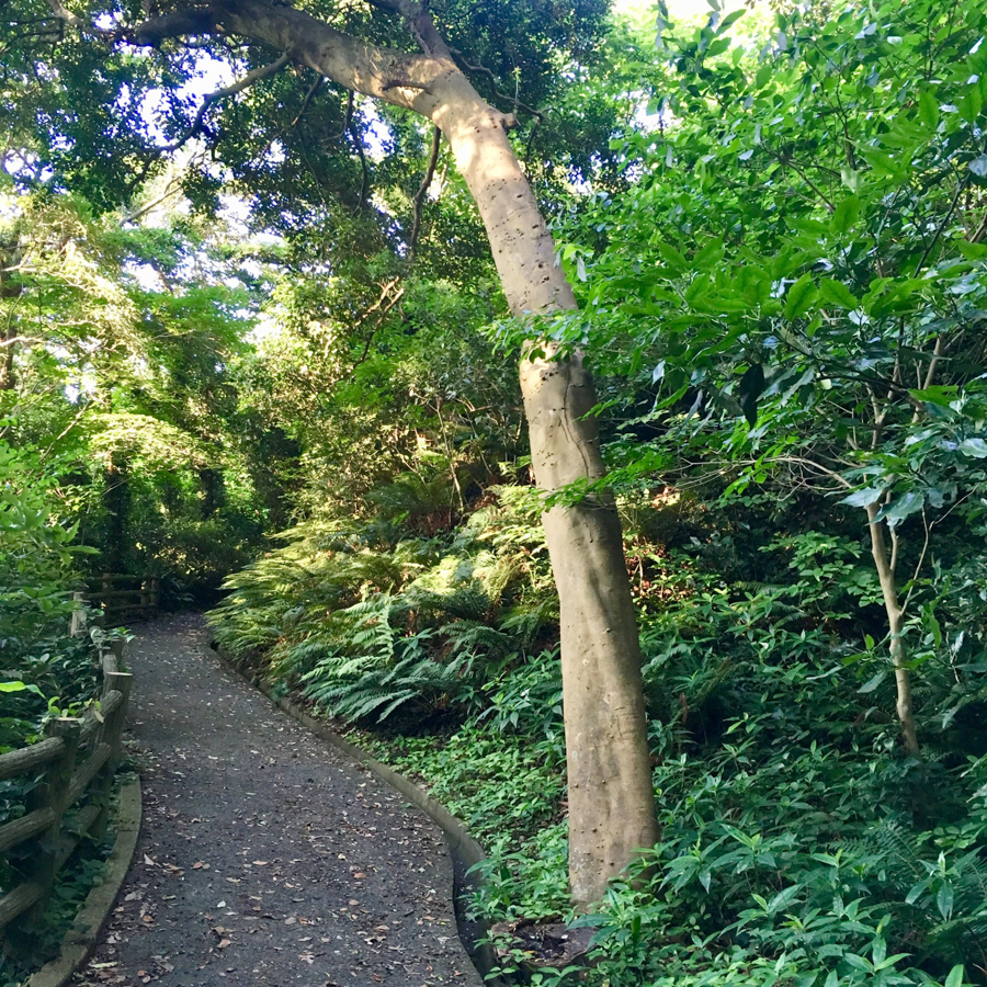 Museum / Cultural Site in Hashirimizu / Kannonzaki / Uraga Area