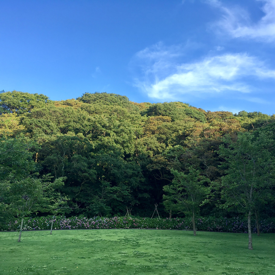 Museum / Cultural Site in Yokosuka Museum of Art