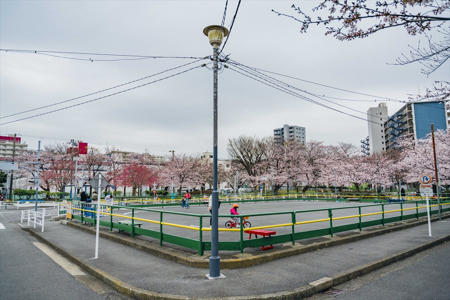 Negishi Traffic Park - Cherry Blossoms