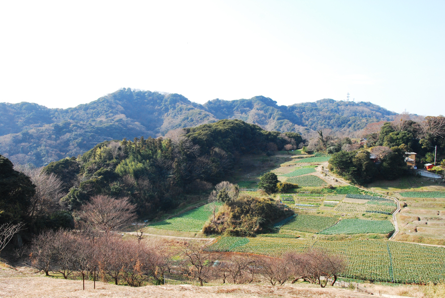 Nobi Satoyama - Winter