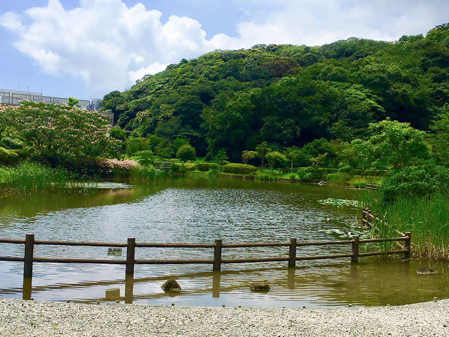 Park View at Hikari-no-Oka Waterside Park
