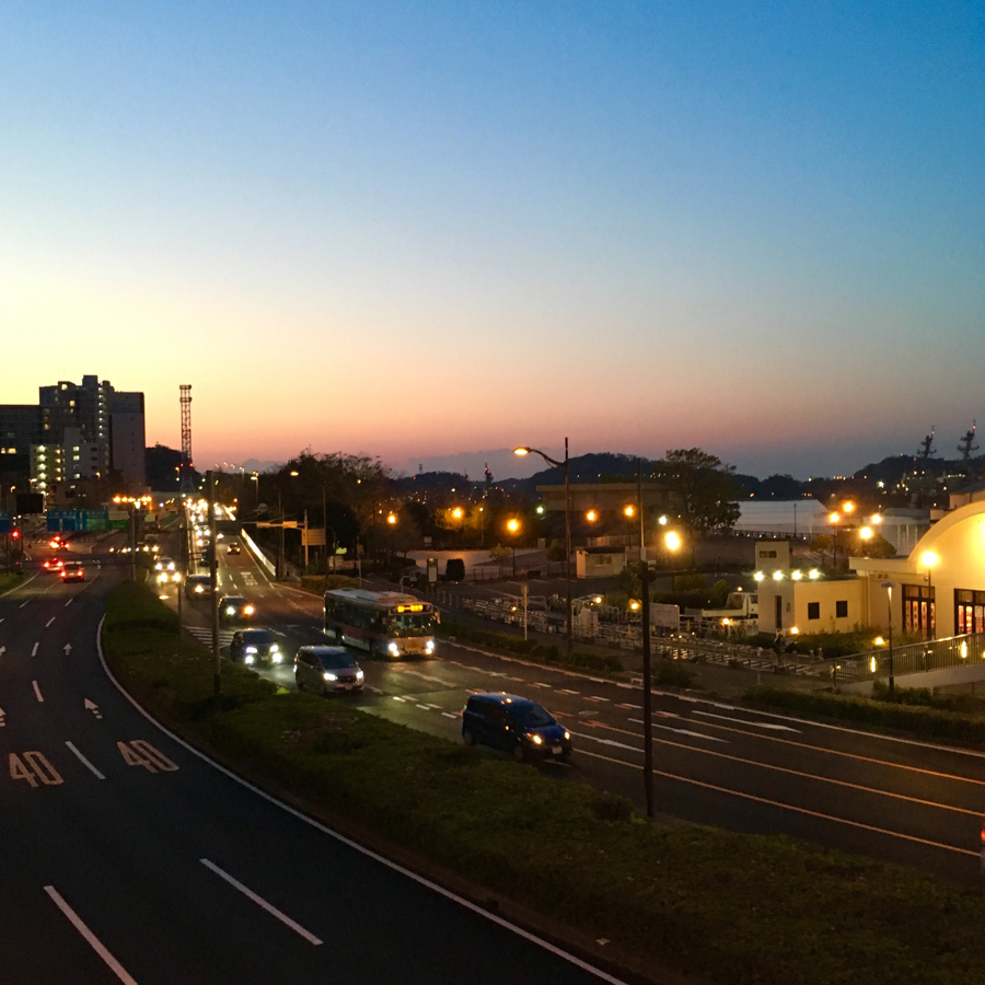 Pathway Scene at Shioiri