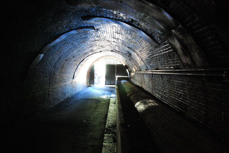 Pathway Scene at Taura