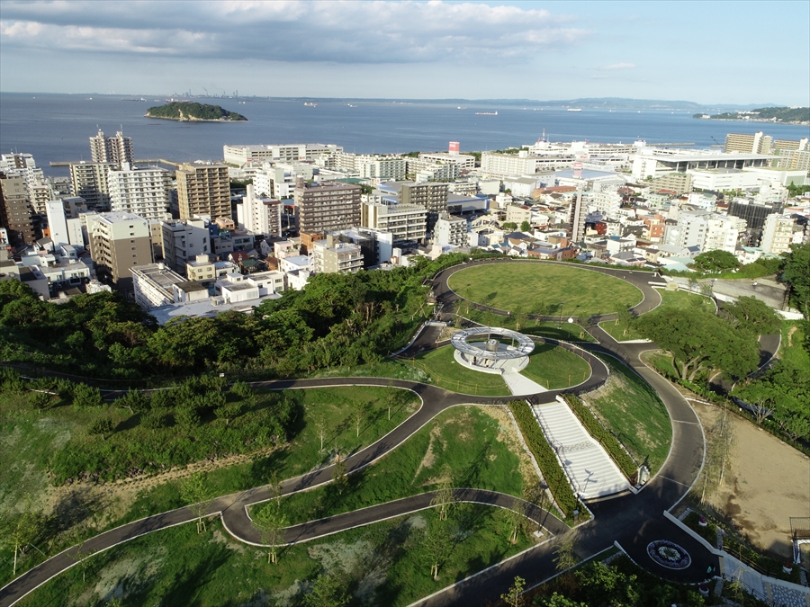Peace Central Park - Aerial View