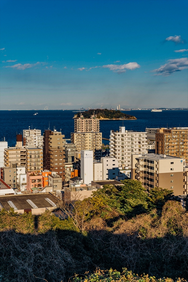 Peace Central Park - Sarushima View