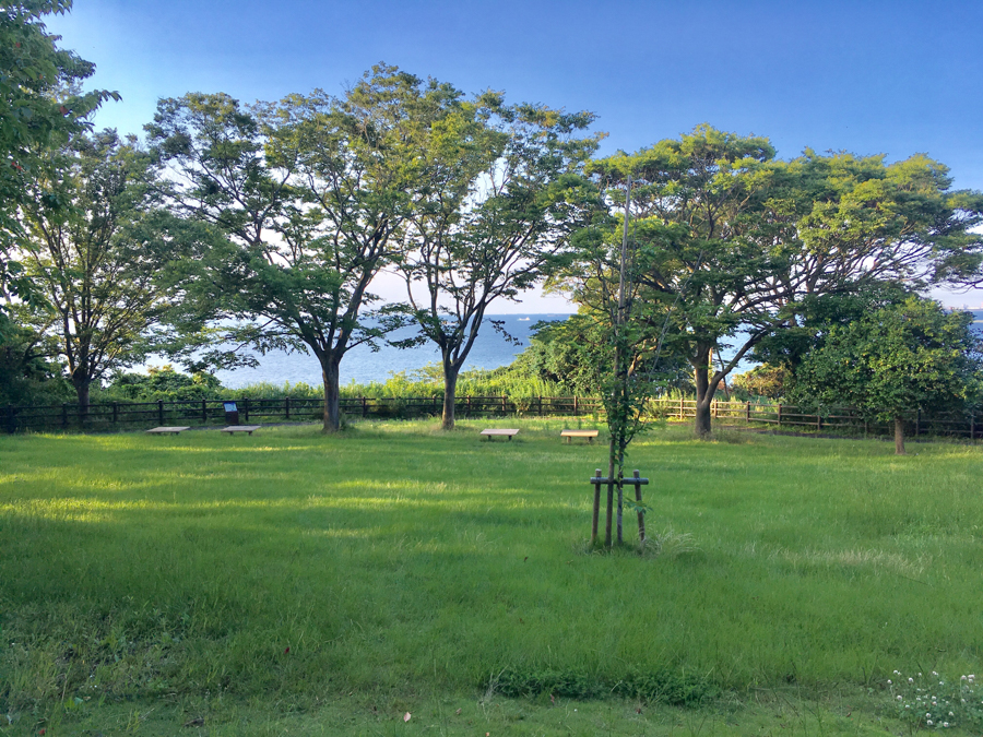 Sangenya Green Space