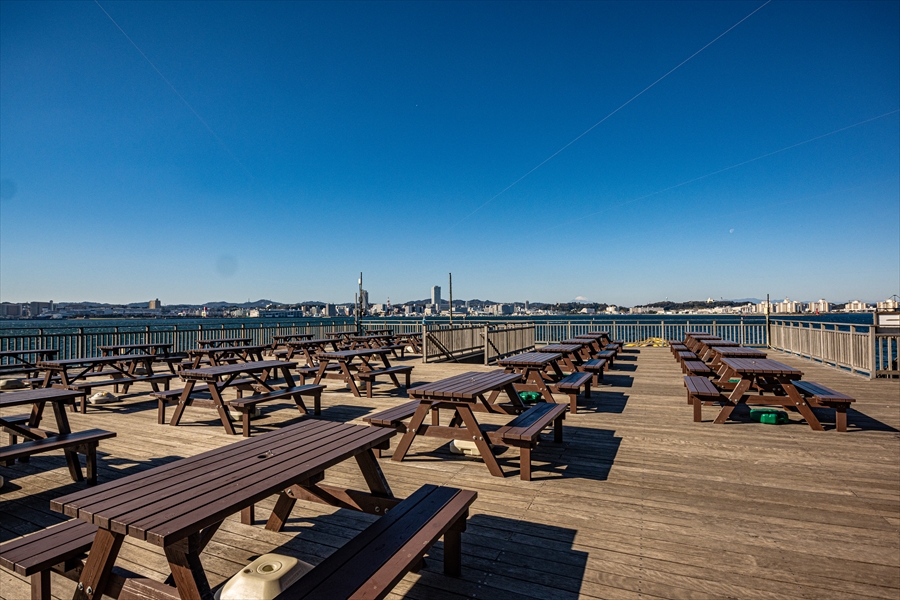 Sarushima - Board Deck