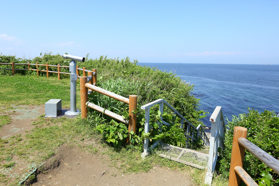 Sarushima - Oimono-hana