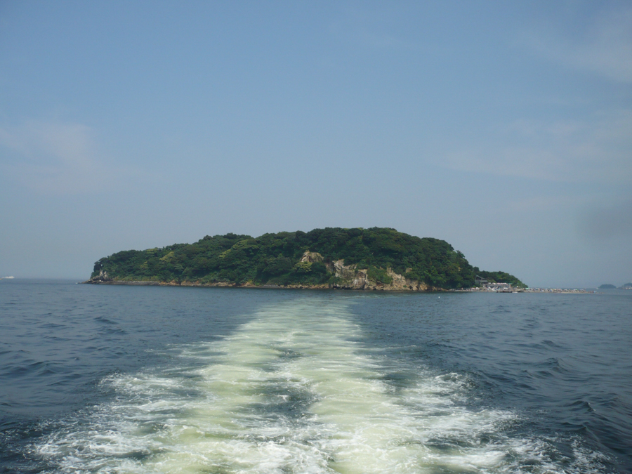 Sarushima - Panoramic View