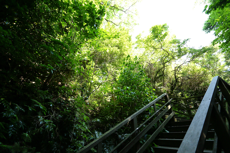 Sarushima - Walking Trail