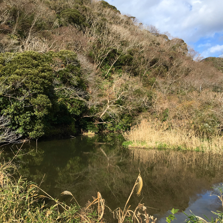 Scenic Moment at Akiya / Sajima Area