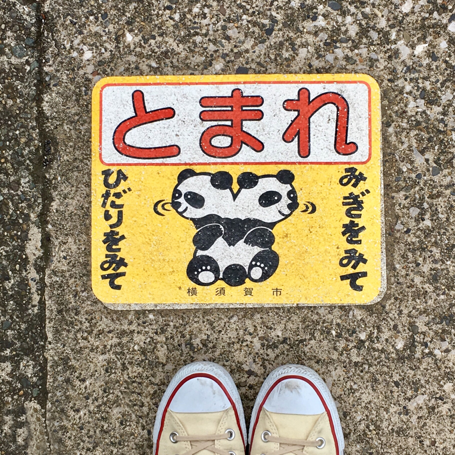 Scenic Moment at Hashirimizu