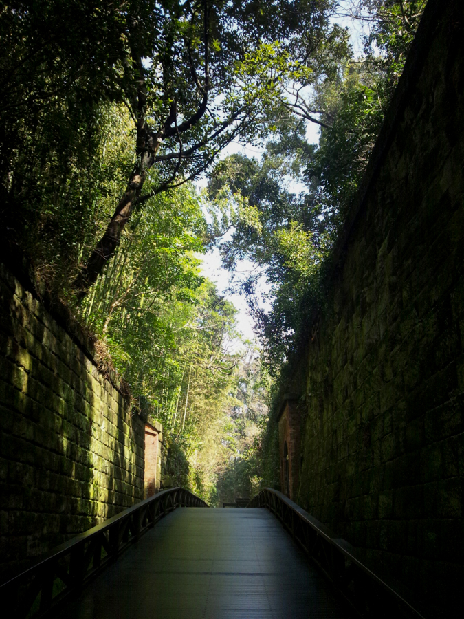 Scenic Moment at Sarushima