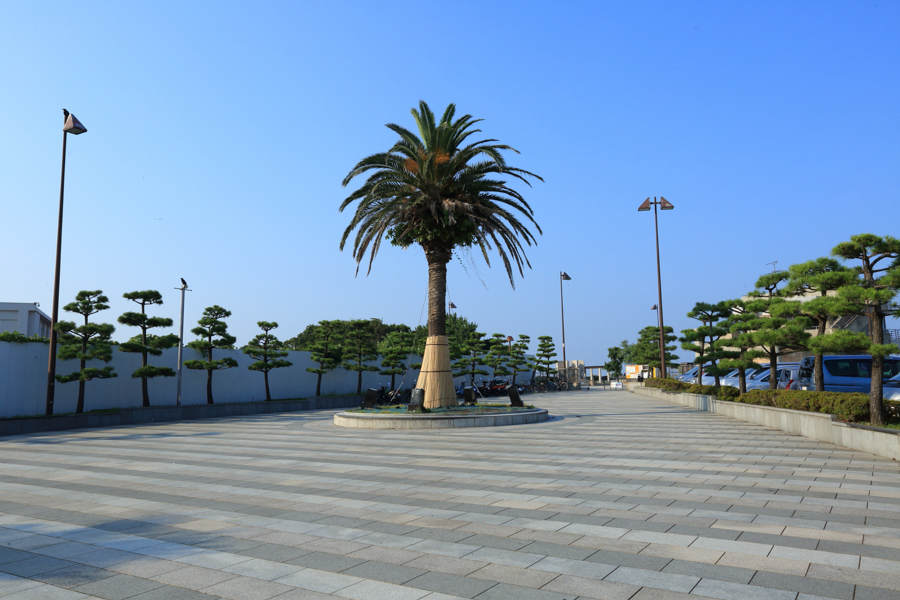 Seaside Fishing Park