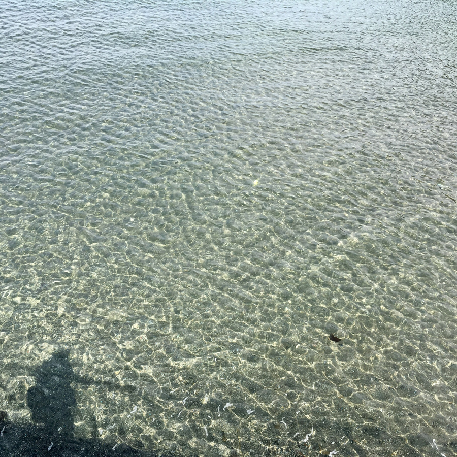 Seaside View at Kannonzaki