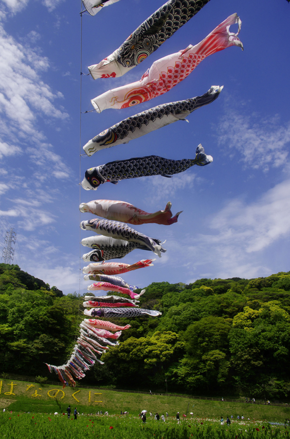 Seasonal Flowers in Kurihama Area