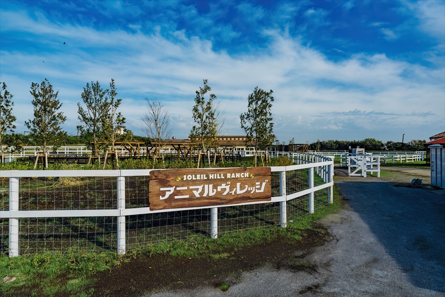 Soleil Hill - Animal Village