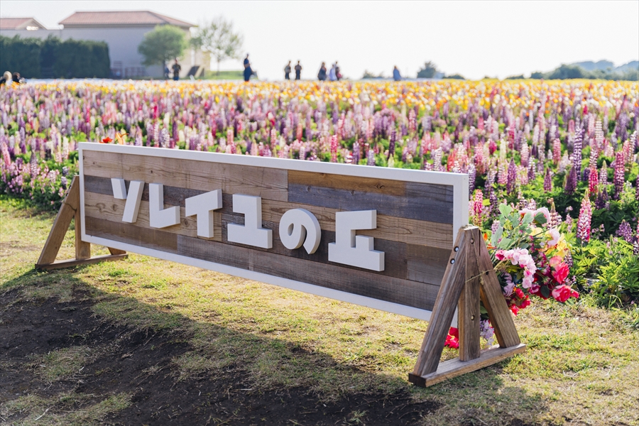 Soleil Hill - Signage