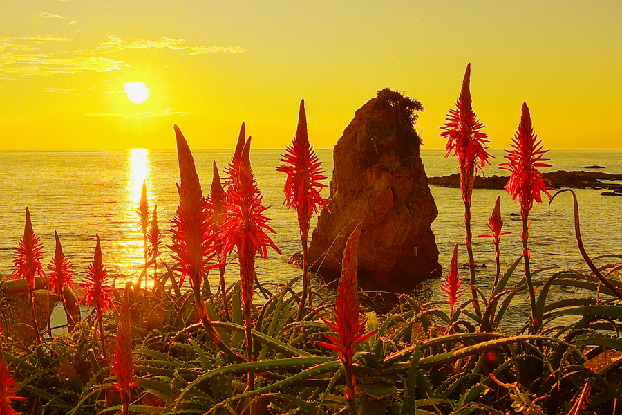 Sunset at Akiya–Tateishi Coast