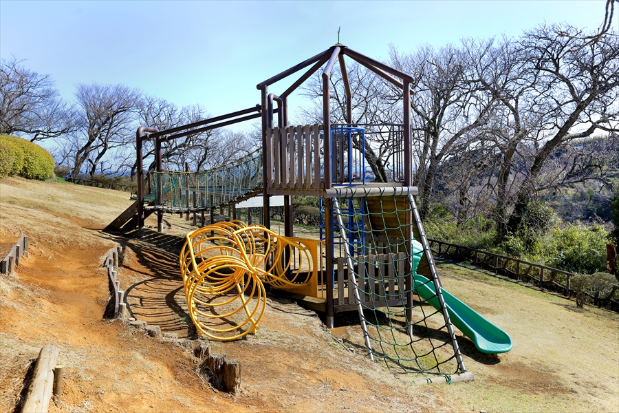 Taura Plum Grove - Athletic Playground