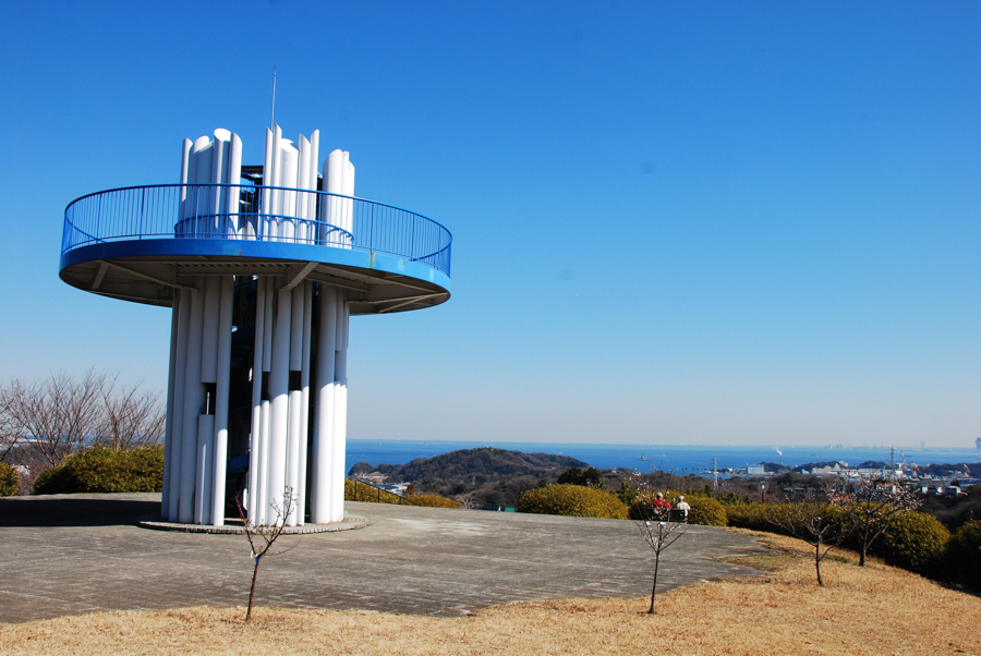 Taura Plum Grove - Observation Tower