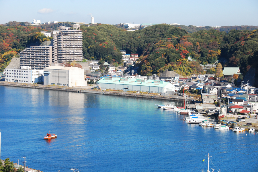 Uraga Ferry - Bird’s-eye View