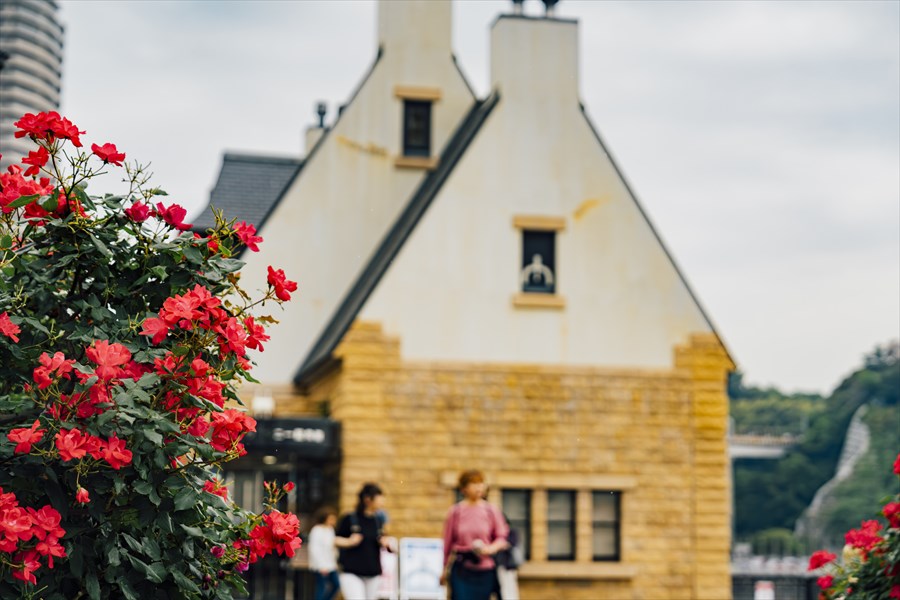 Verunii Memorial Hall - Spring Roses