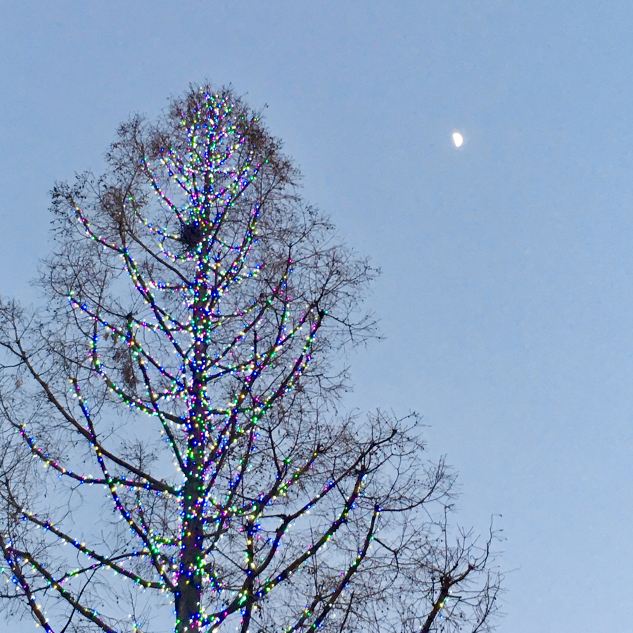 Yokosuka-Chuo Station